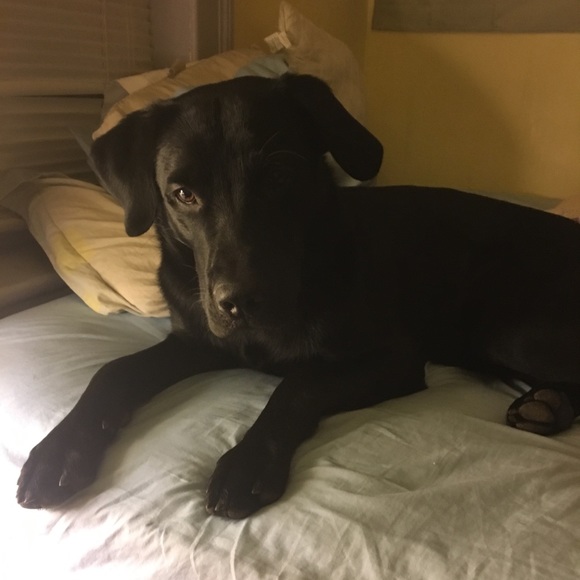 #CURVYNOTPLUS - Picture 4 of 14